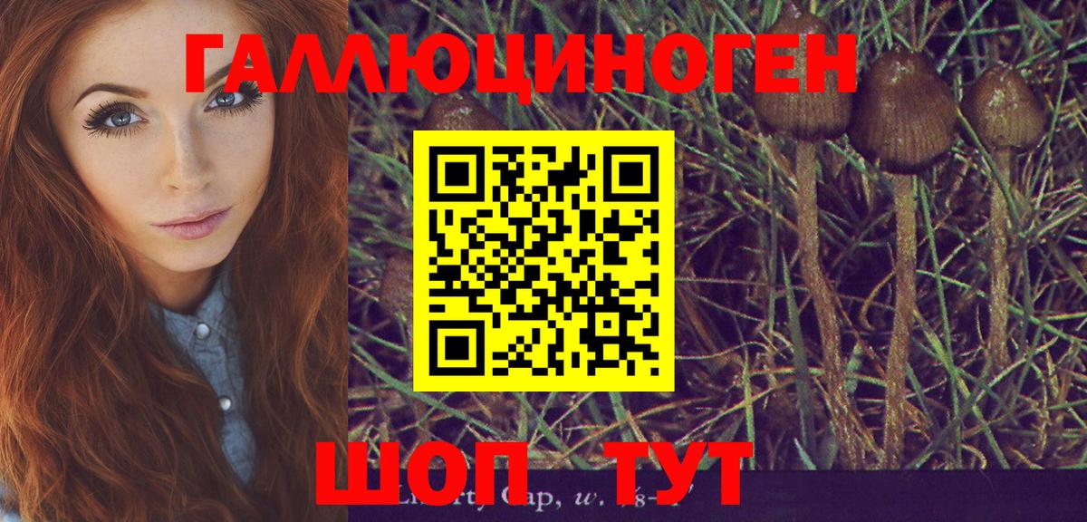 Галлюциногенные грибы мухоморы  Вход с VPN  Верхний Уфалей  Псилоцибиновые грибы Cubensis 